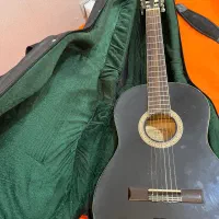 گیتار مدل HAC204BK