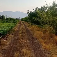 باغ ۳۰۰۰متری لب اتوبان زنجان تهران سندتکبرگ|فروش دفتر صنعتی، کشاورزی، تجاری|تهران, فرودگاه مهرآباد|دیوار