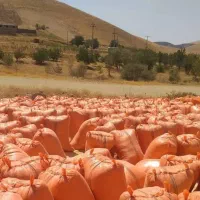 فروش عمده خوراک دام و طیور زیر قیمت بازار|عمده‌فروشی|زرندیه, |دیوار