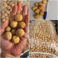 لیمو عمانی فله ای