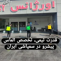 سمپاشی ساس موش سوسک بامجوز وضمانت کتبی 100٪|خدمات نظافت|فردیس, فردیس|دیوار