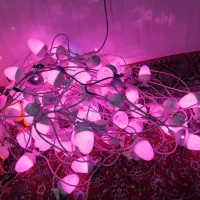 ریسه|ریسه و چراغ تزئینی|فرخ‌شهر, |دیوار