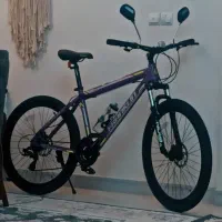 دوچرخه فرانکلین درحد