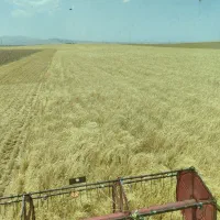 سهند|خودرو سنگین|کبودرآهنگ, |دیوار