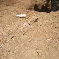 مغنی چاه کن سرتاسر تهران حفر چاه چاه اب و فاظلاب|خدمات پیشه و مهارت|تهران, شوش|دیوار