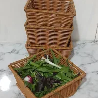 هنر دست زیبایی ماندگار