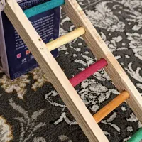 دون خوری و نردبان پرنده|لوازم جانبی حیوانات|قم, چهار مردان|دیوار