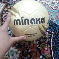 توپ سالنی ماین اکا