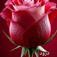 نگهبان بازنشسته