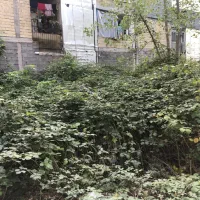 فروش‌ زمین در استقامت دوم (زیرقیمت)|فروش زمین و ملک کلنگی|رشت, استقامت ۲|دیوار