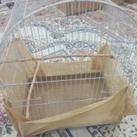 باسلام یک قفس پرنده نو نو