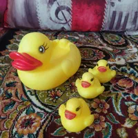 اردک اسباب بازی|اسباب‌‌بازی|رشت, پل تالشان|دیوار