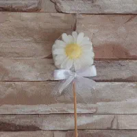 گیفت|صنایع دستی و سایر لوازم تزئینی|بندرعباس, |دیوار
