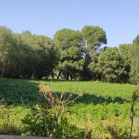 زمین-زراعی-در-بهترین-نقطه-شهر-نیر
