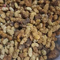 توت خشک محلی شیرین|خوردنی و آشامیدنی|چاراویماق, |دیوار