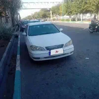 ماکسیما مدل ۸۴