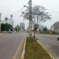 228متر-زمین-مناسب-آپارتمان-سازی-دریاگوشه