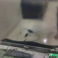 تلوزیون 40اینچ سونی