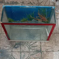 شیشه آکواریوم ماهی|ماهی|کامیاران, |دیوار