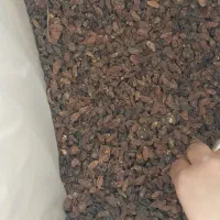 فروش کشمش افتابی|خوردنی و آشامیدنی|یزد, |دیوار