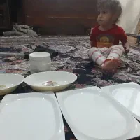 ظرف میلامین|ظروف سرو و پذیرایی|چهارباغ, |دیوار