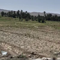 زمین-کشاورزی