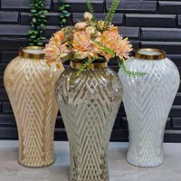 همگی نووآکبند