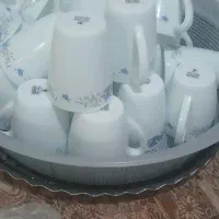 لیوان آرکوپال