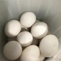 تخم مرغ محلی