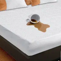 محافظ تشک