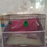 قفس پرنده سایز ۵۲|لوازم جانبی حیوانات|شیراز, شیشهگری|دیوار