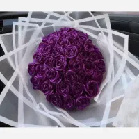 گل ربانی نسترن