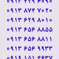 ۰۹۱۹.۱۵۱.۴۶۳۷|سیم‌کارت|یزد, |دیوار