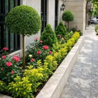 خدمات باغبانی باغچه کاری گلکاری تعویض خاک گلدون