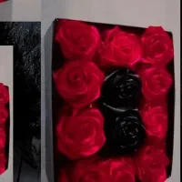 گل رز|گل مصنوعی|خدا آفرین, |دیوار