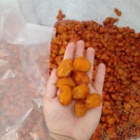 آلو|خوردنی و آشامیدنی|نیشابور, کلاغان|دیوار