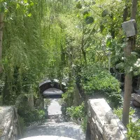 رستوران شب نشین