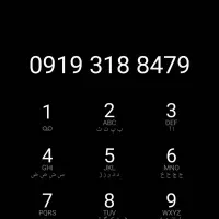 0919-318-8479