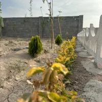 200متر به بالا با سند تک برگ آب برق