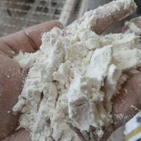 نیازمند شاطر نانوایی نان بربری