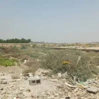 فروش-زمین-اهواز-کوت-نواصر