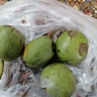 پوست کن گردو