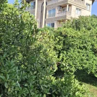آپارتمان اجاره ای85متری شهرک نمک ابرود