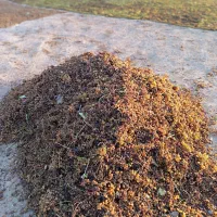 کشمش تیزابی درجه 1
