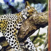 تابلو فرش کاملا نو و سالم. زیبا|تابلو فرش|رشت, پل تالشان|دیوار