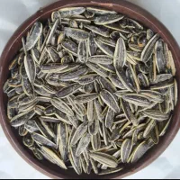 تخمه اعلای خوی