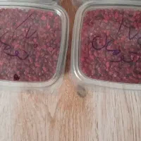 زرشک خراسان لیزر شده تمیز