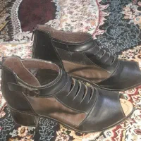 کفش|کیف، کفش، کمربند|کامیاران, |دیوار