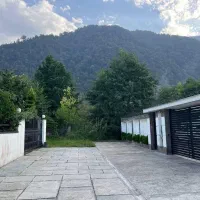 298 متر زمین مسکونی در باغ نظر|فروش زمین و ملک کلنگی|نشتارود, |دیوار