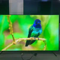 تلویزیون55اینچ4kپلمپ شرکتی هیمالیاباگارانتی۲سال|تلویزیون و پروژکتور|اهواز, پردیس دو|دیوار